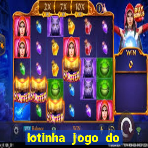 lotinha jogo do bicho como funciona